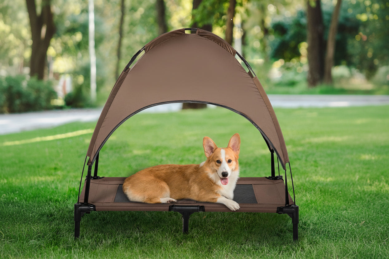 Dog lying on a brown pet canopy bed in a park